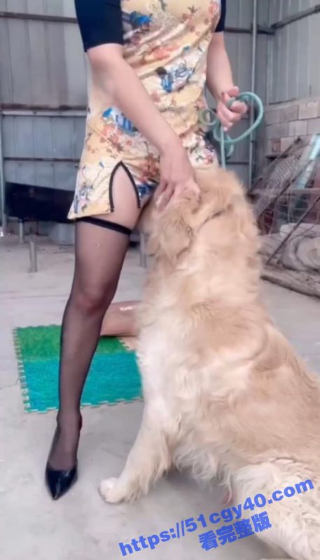 重口人兽性交调教！旗袍美女被金毛压身下猛干 黑丝撕裂无套内射 老公接力狂操！-51吃瓜网