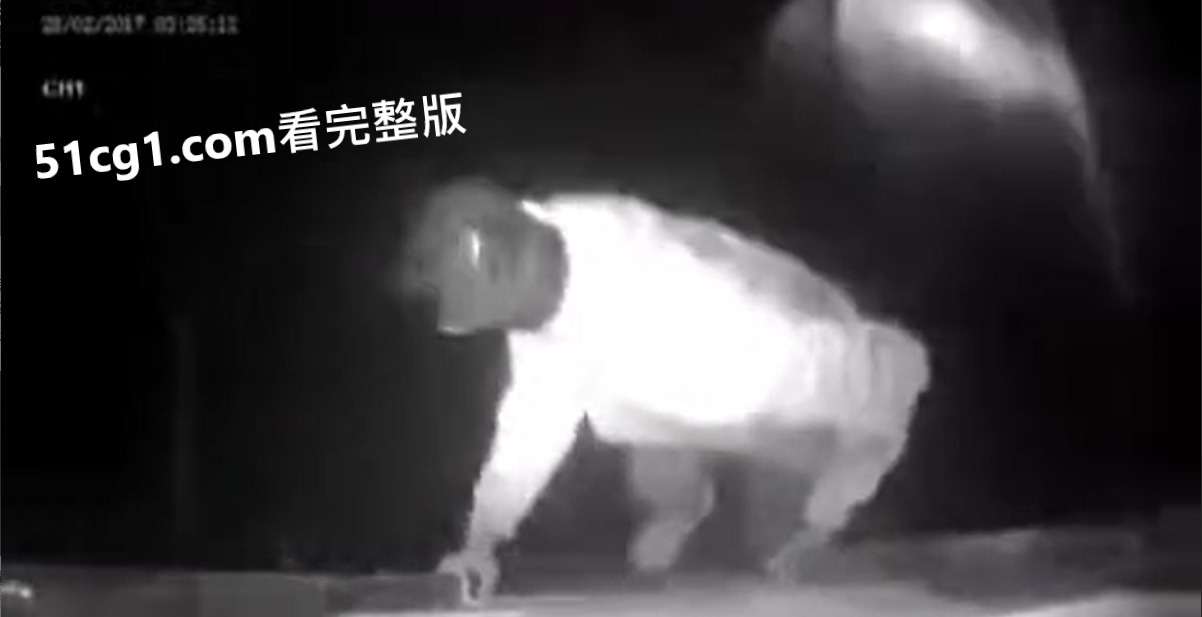 飞车党 #抢劫 行驶中的 #货车 - 51吃瓜网-51吃瓜网