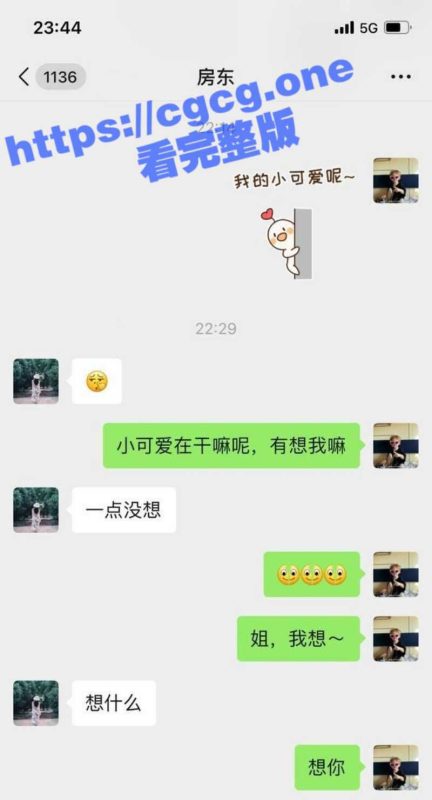 饥渴熟女房东 与租客小弟弟的激情性爱 从微信发自慰视频 到酒店开房 劲爆露脸啪啪很疯狂！-51吃瓜网